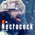 Jan Žižka z Trocnova (Original Soundtrack)