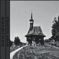 Dyster Skog