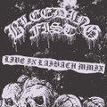 LIVE IN LAIBACH MMIX (Live Bootleg)