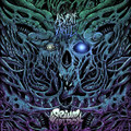 The Plague Split