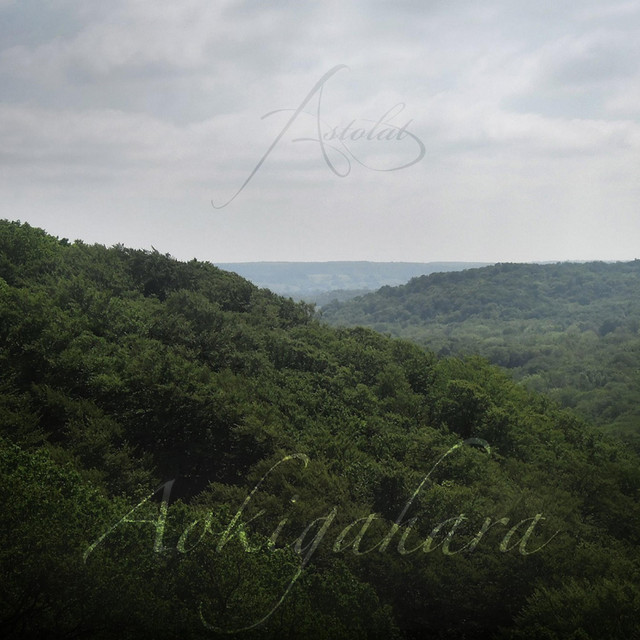 Aokigahara