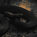 Black Record