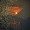The Medleys II (Ep)