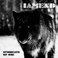 Syndicate of One
