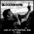 Live at Lott Festival 2016