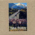 The Complete Works of Teflon Monkey 2000-2002