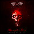 Slaves of the Blood (Chronicles of a Vampire)