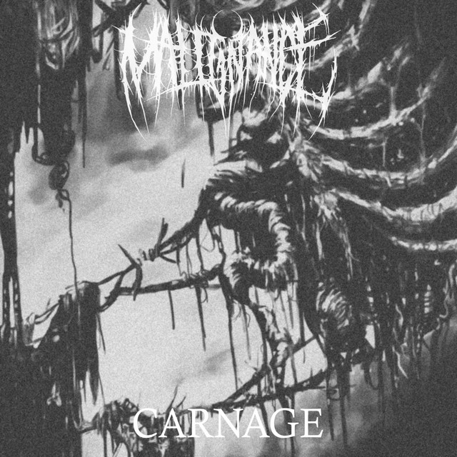 Carnage
