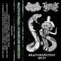 BrainsRejection Split