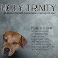 2:0 Faith in Flight (Hip-Hop/Rap/Gospel Fusion)