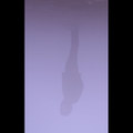 StillUntitled
