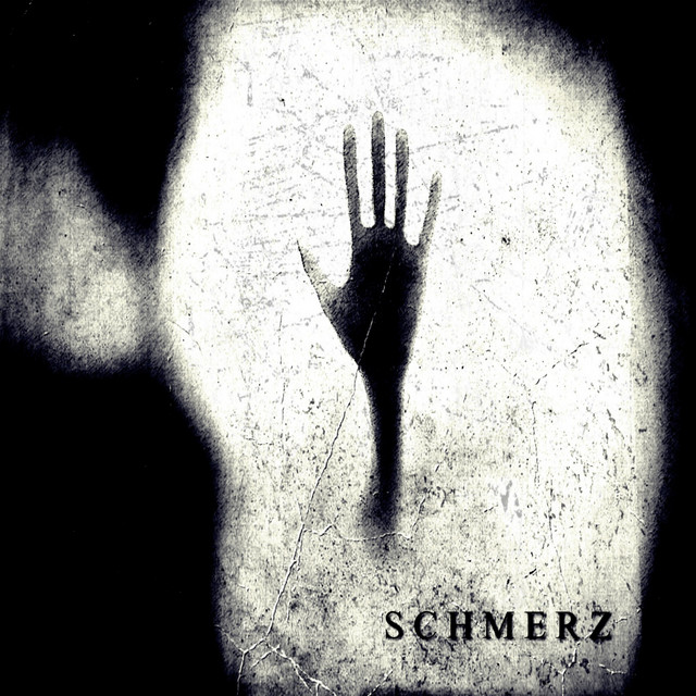 SCHMERZ