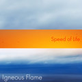 Speed of Life