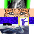 Carisma 10 Remixes