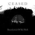 Resurrection Of The Flesh