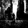 Collapse
