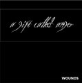 Wounds - Demo 2007