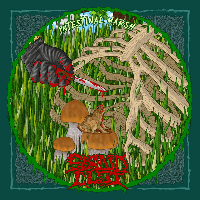 Intestinal Marsh