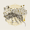 Pyramido/Union of sleep  split EP