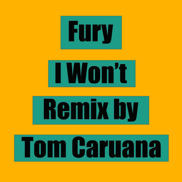 I Won't (Tom Caruana Remix)