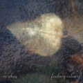 fading colours (interim VII)
