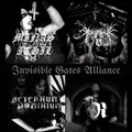 Invisible Gates Allience