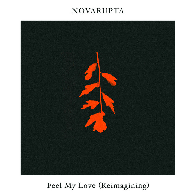 Feel My Love (Novarupta Reimagining)