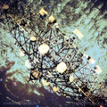 Transmissions
