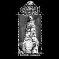 Deathlike Passages
