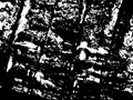 20120318