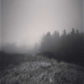 Effigy for the Fiercest Frost - Shadows Dance in the Fires of Yule