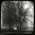 Citynism  (Single) [Remastered]