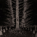 Oblations in Atrocity
