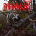 NECROSIS Project - P.I.D.A.R (Single)