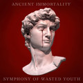 Symphony Of Wasted Youth