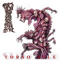Torso Pile