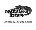 Cobwebs Of Eternity (Single)
