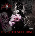 Revisited Suffering