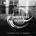 Introduction to Madness