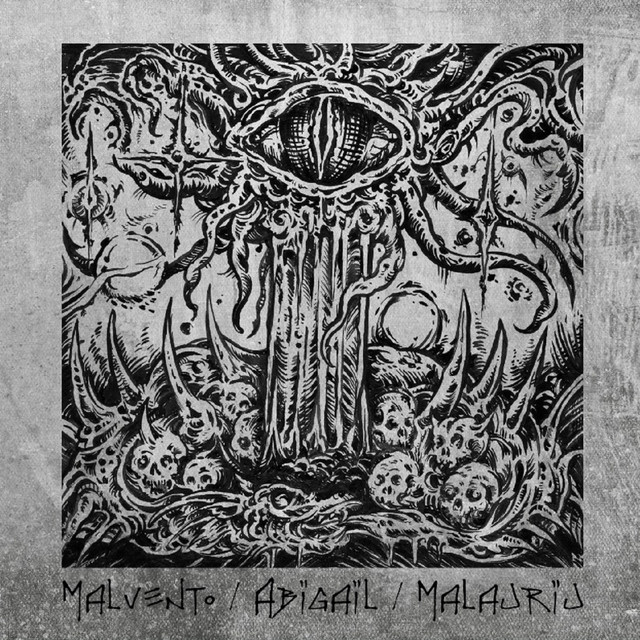 Malvento / Abigail / Malauriu