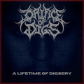A Lifetime Of Digsery