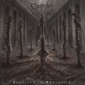 Confined in Obscurity
