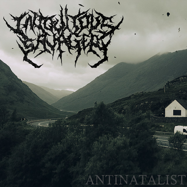 Antinatalist