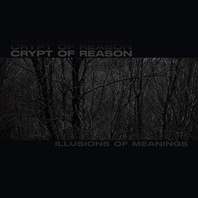 Illusions of Meanings