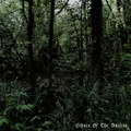 Echoes Of The Ancient