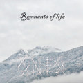 Remnants of life