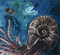 Ammonite