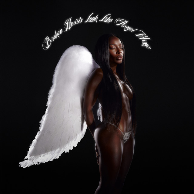 Broken Hearts Look Like Angel Wings