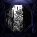 Honorarium