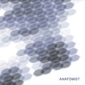 Superimpozer vs Anatomist - Psy Ops EP/Material Witness EP